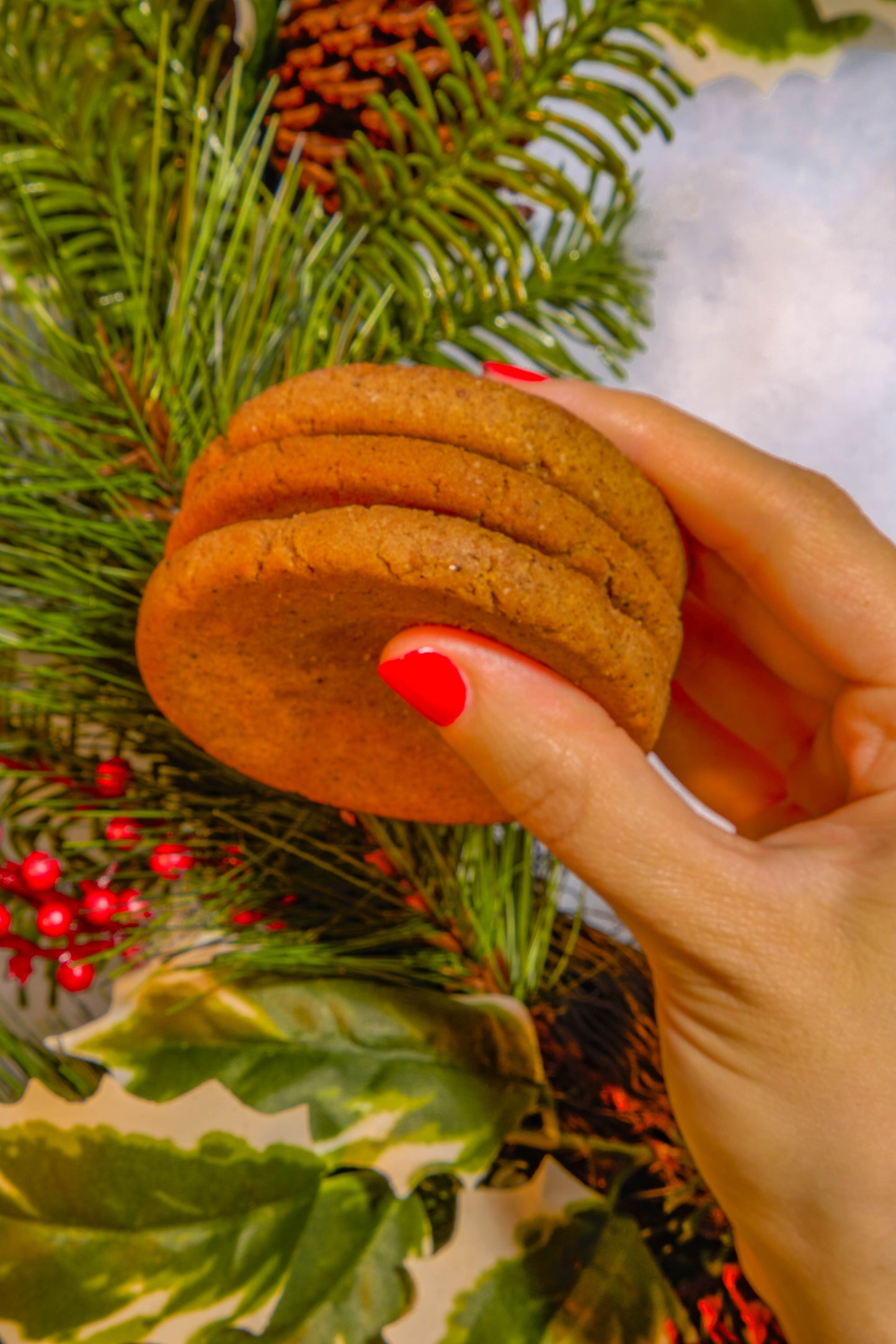 The Ultimate Holiday Pack