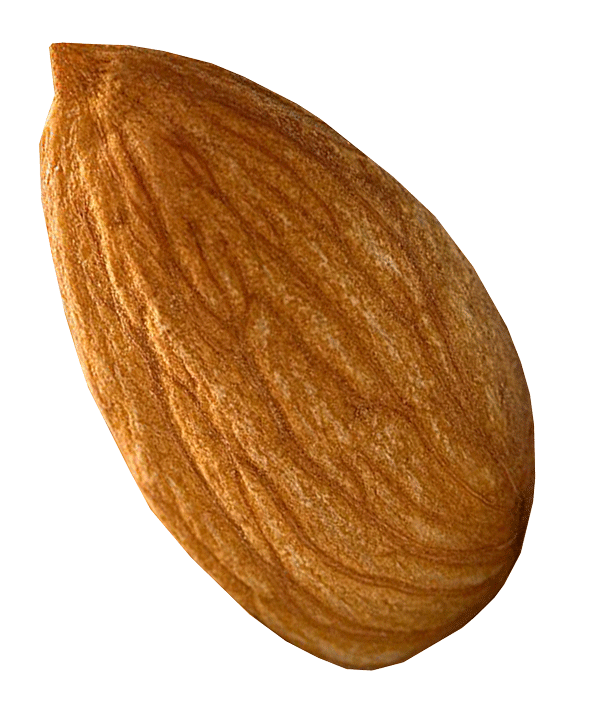 ALMOND FLOUR